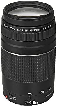 Canon EF 75-300mm f/4.0-5.6 III