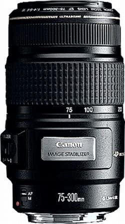 Canon EF 75-300mm f/4.0-5.6 IS USM