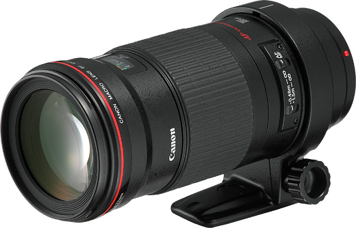 Canon EF 180mm f/3.5L Macro USM