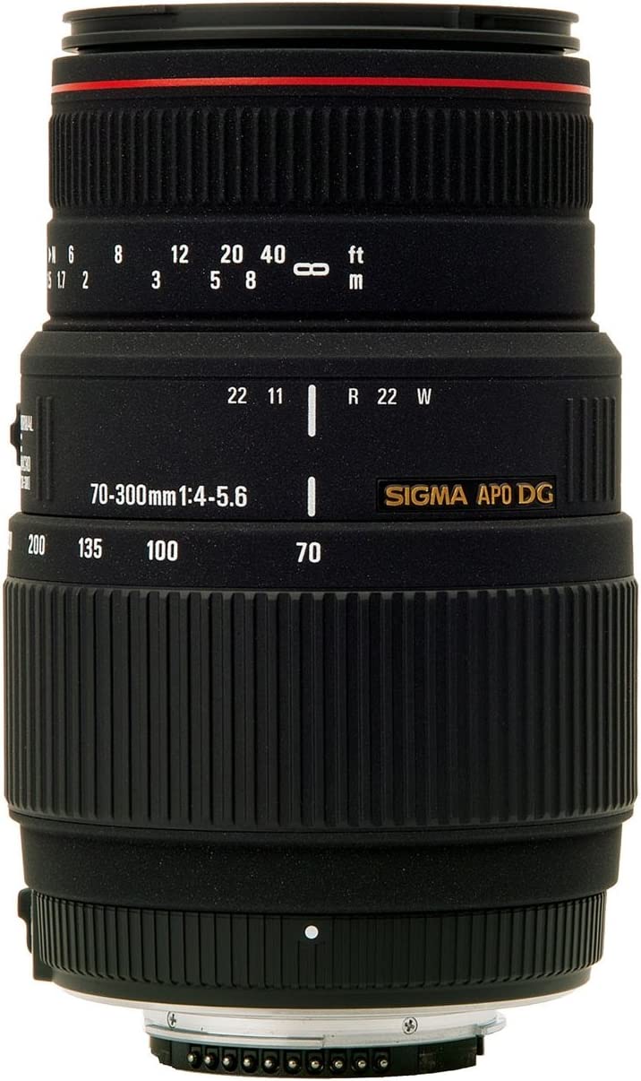 Sigma 70-300mm F4-5.6 APO DG Macro