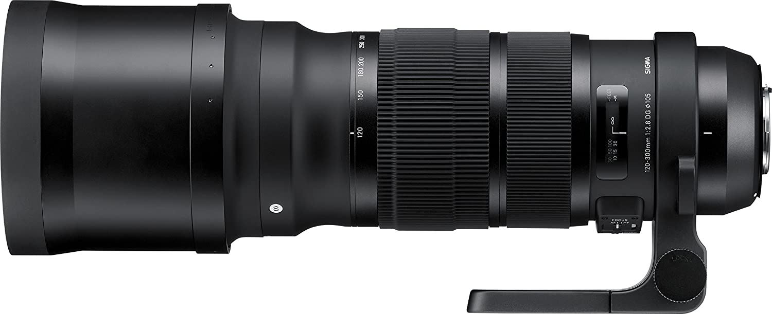 Sigma 120-300mm F2.8 DG OS HSM