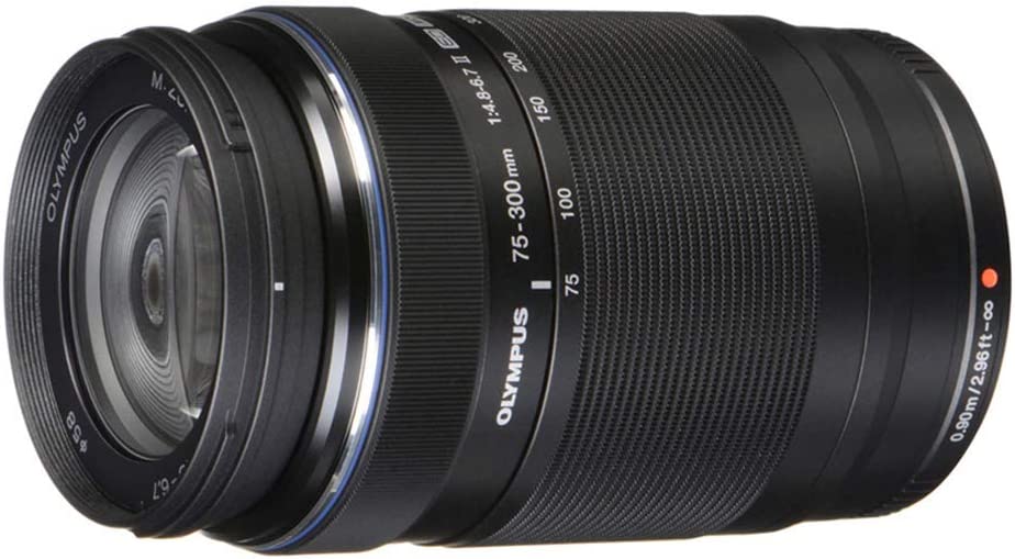 Olympus M.Zuiko Digital ED 75-300mm 1:4.8-6.7