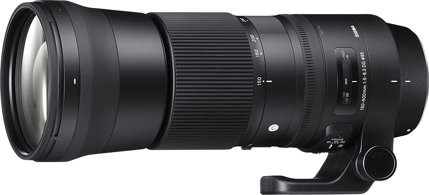 Sigma 150-600mm F5-6.3 DG OS HSM | Contemporary