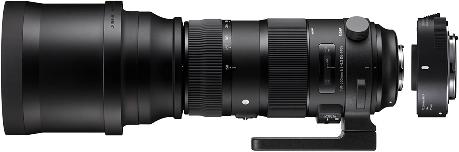 Sigma 150-600mm F5-6.3 DG OS HSM | S