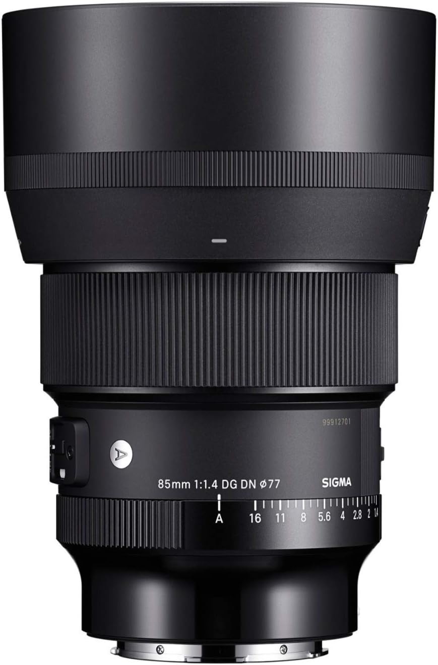 Sigma 85mm F1.4 DG DN Art